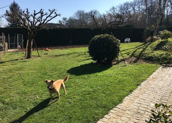 Au Bonheur Villa Idron